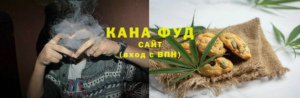 прущие грибы Бородино