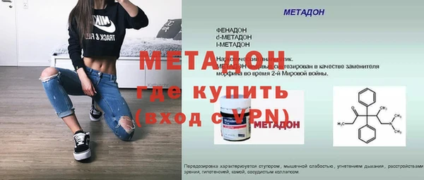 прущие грибы Бородино