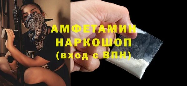 прущие грибы Бородино