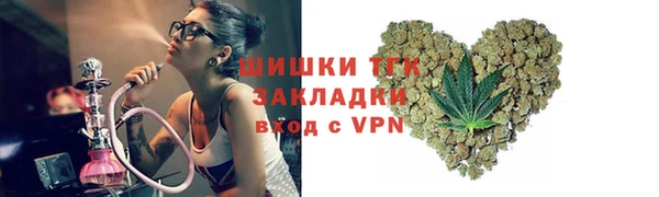 дживик Бронницы