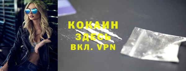 прущие грибы Бородино