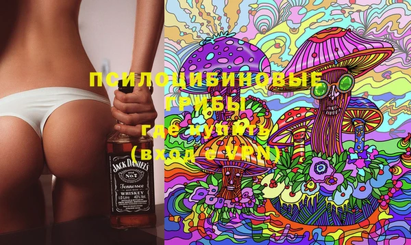 дживик Бронницы