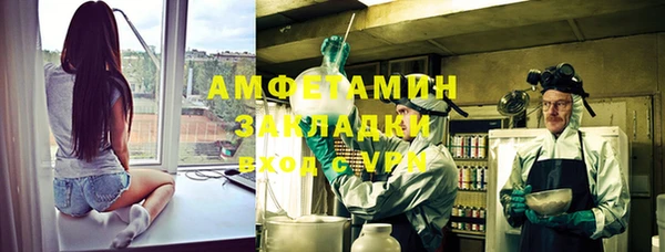прущие грибы Бородино