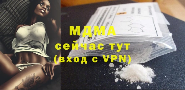 прущие грибы Бородино