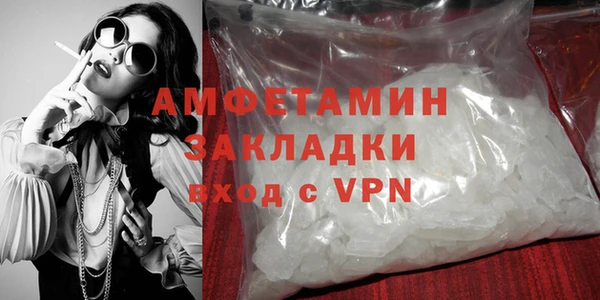 прущие грибы Бородино