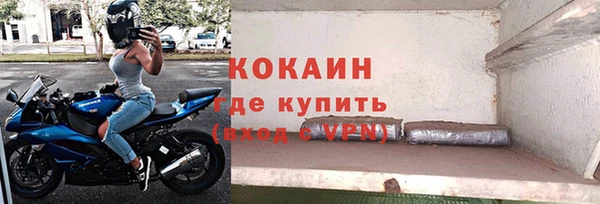 прущие грибы Бородино