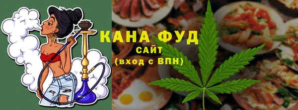 прущие грибы Бородино